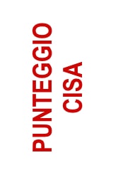 punteggio CISA