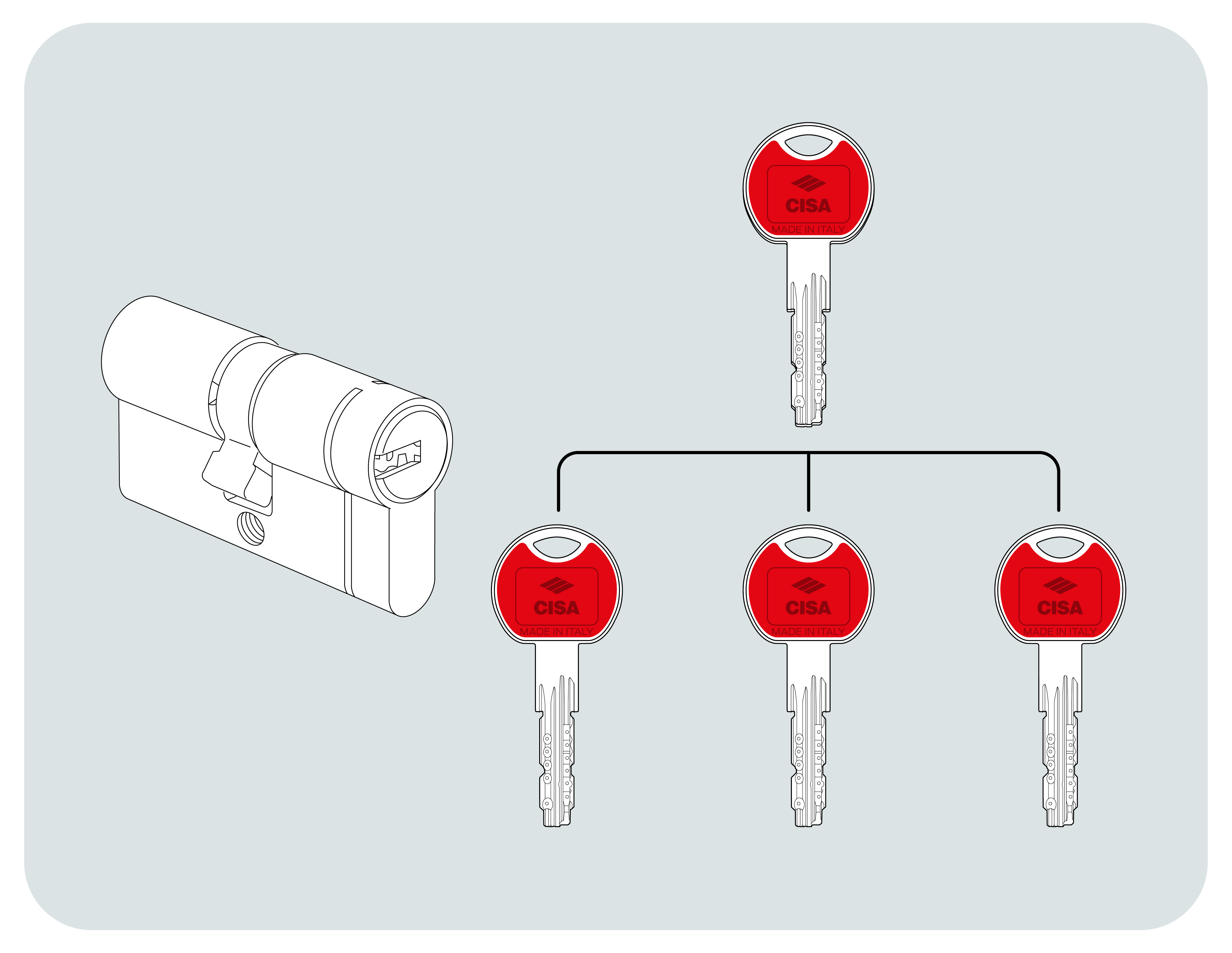 Elevatissima potenzialità nella gestione degli accessi
