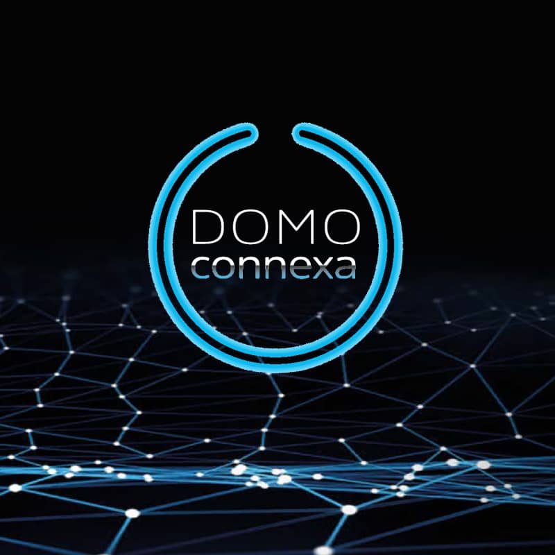 DOMO Connexa smart door
